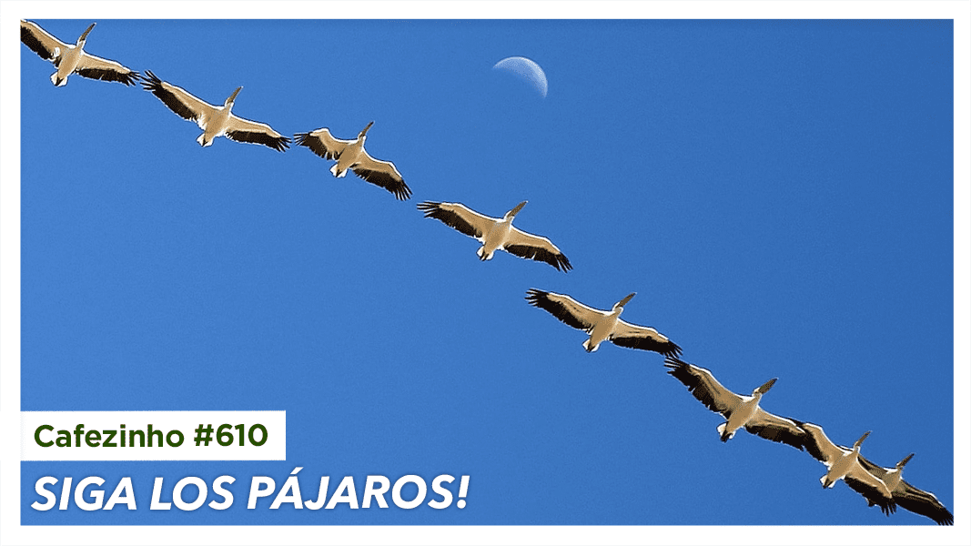 Imagem referente à: Cafezinho 610 – Siga Los Pájaros!